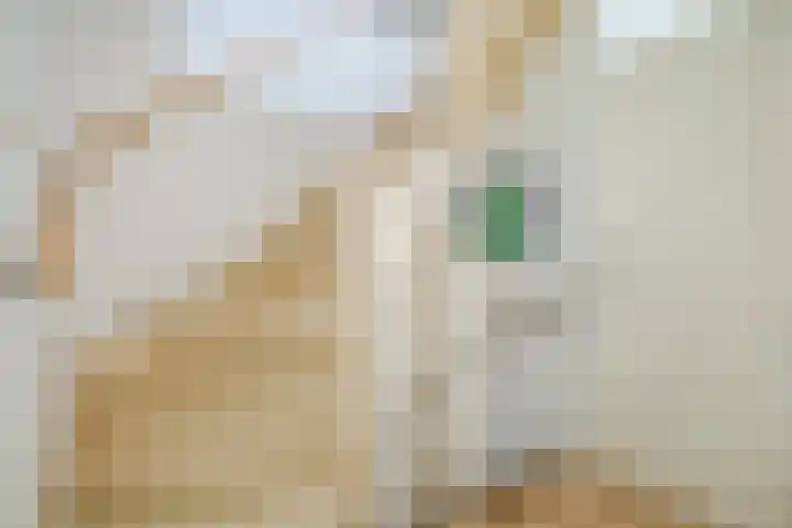 Frans Halslaan 14 Oosterhout thumbnail 17