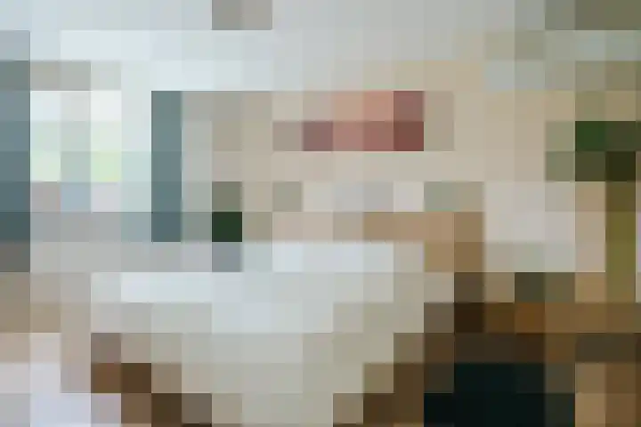 Frans Halslaan 14 Oosterhout thumbnail 19