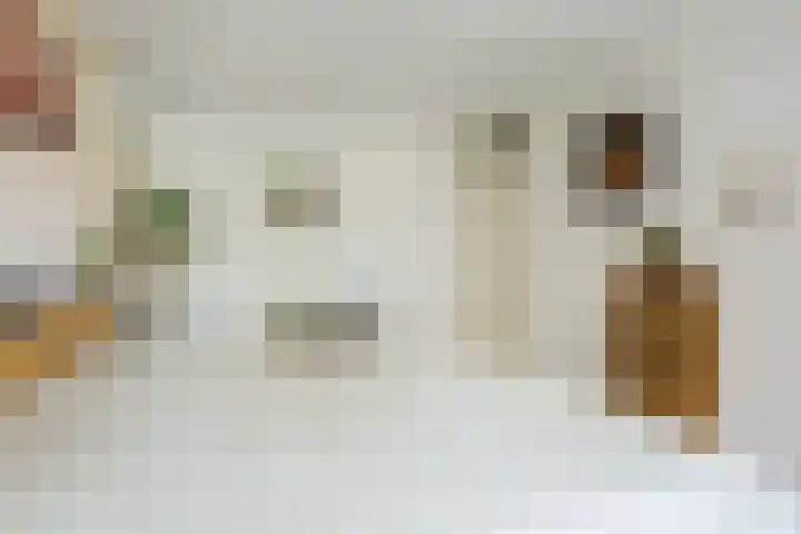 Frans Halslaan 14 Oosterhout thumbnail 20