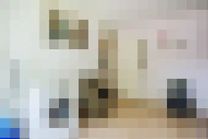 Frans Halslaan 14 Oosterhout thumbnail 22
