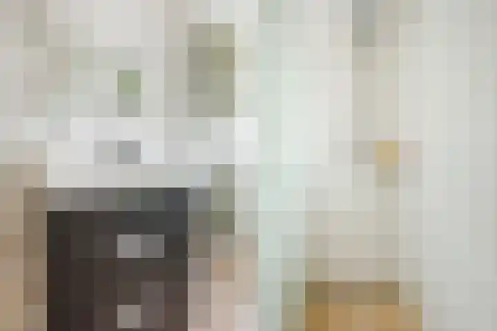 Frans Halslaan 14 Oosterhout thumbnail 26