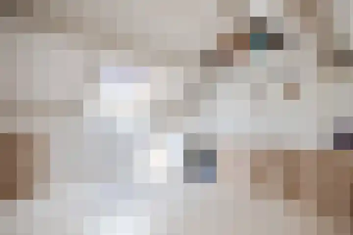 Frans Halslaan 14 Oosterhout thumbnail 27