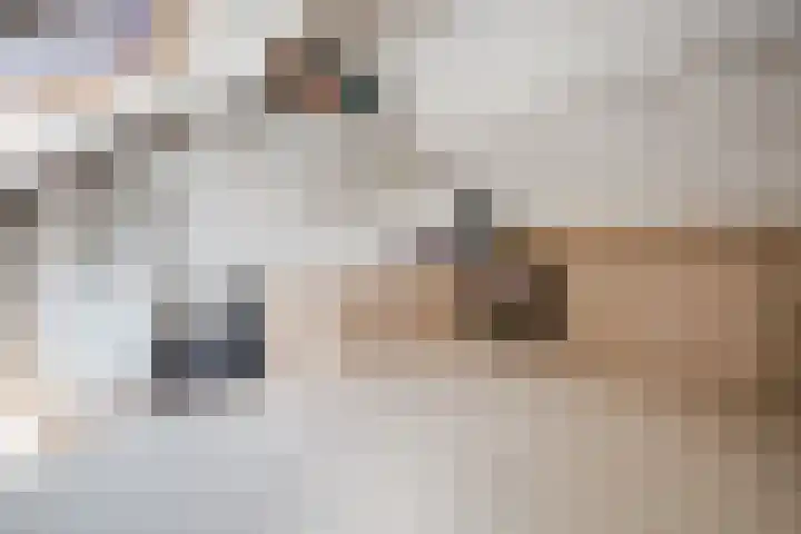 Frans Halslaan 14 Oosterhout thumbnail 28