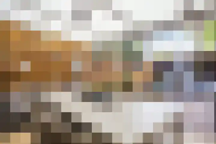 Frans Halslaan 14 Oosterhout thumbnail 4