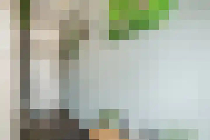 Frans Halslaan 14 Oosterhout thumbnail 5