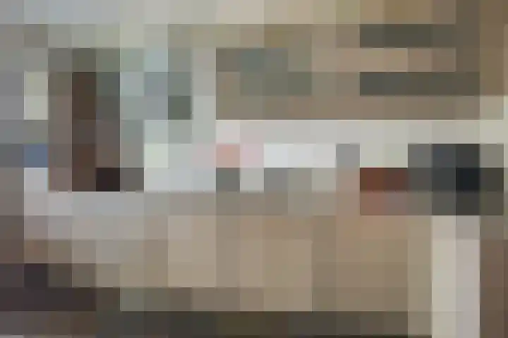 Frans Halslaan 14 Oosterhout thumbnail 8