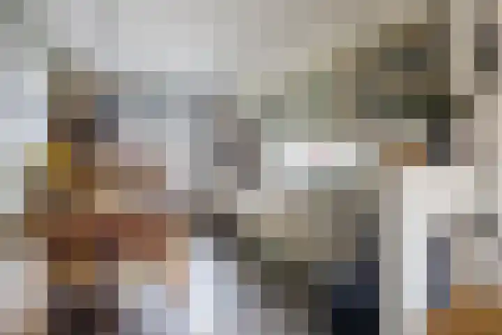 Frans Halslaan 14 Oosterhout thumbnail 9