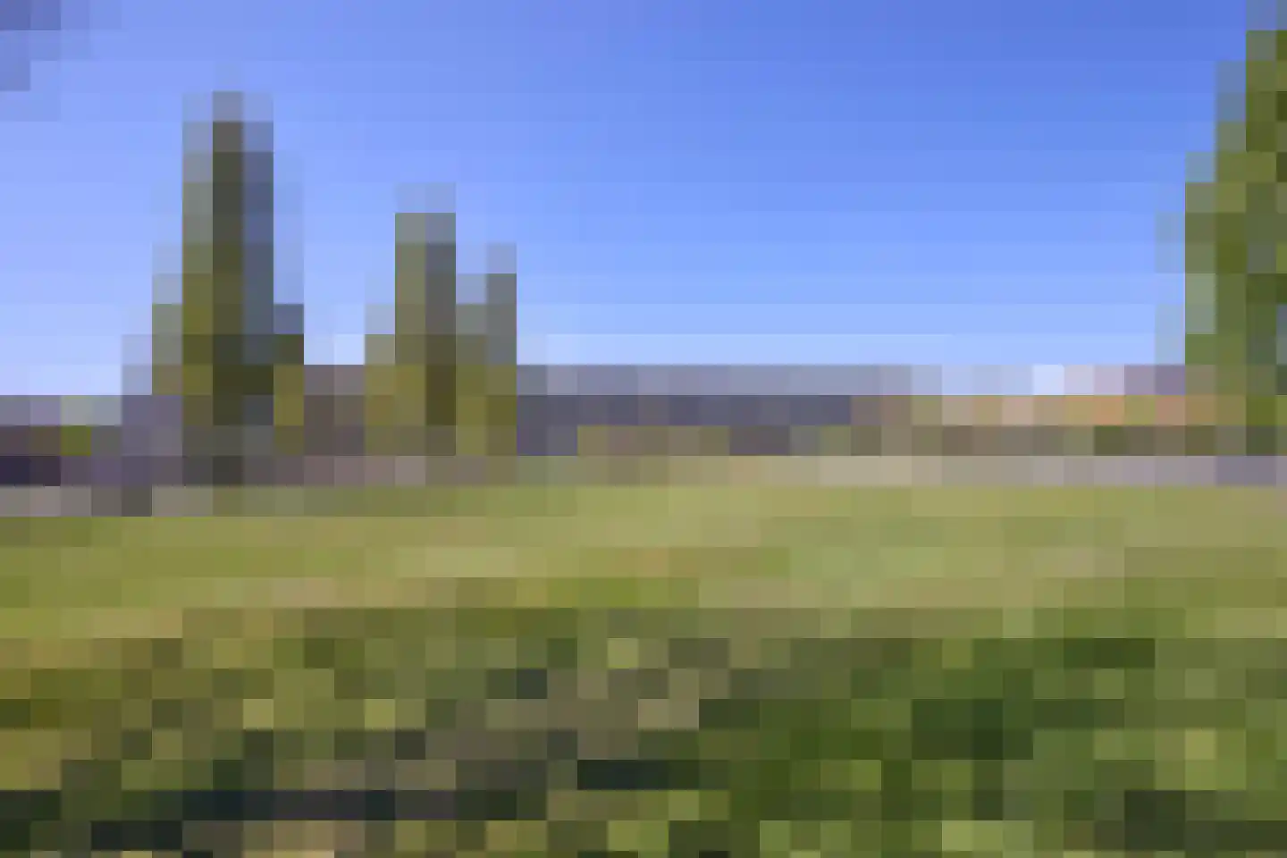 Frans Halslaan 177 Oegstgeest thumbnail 45