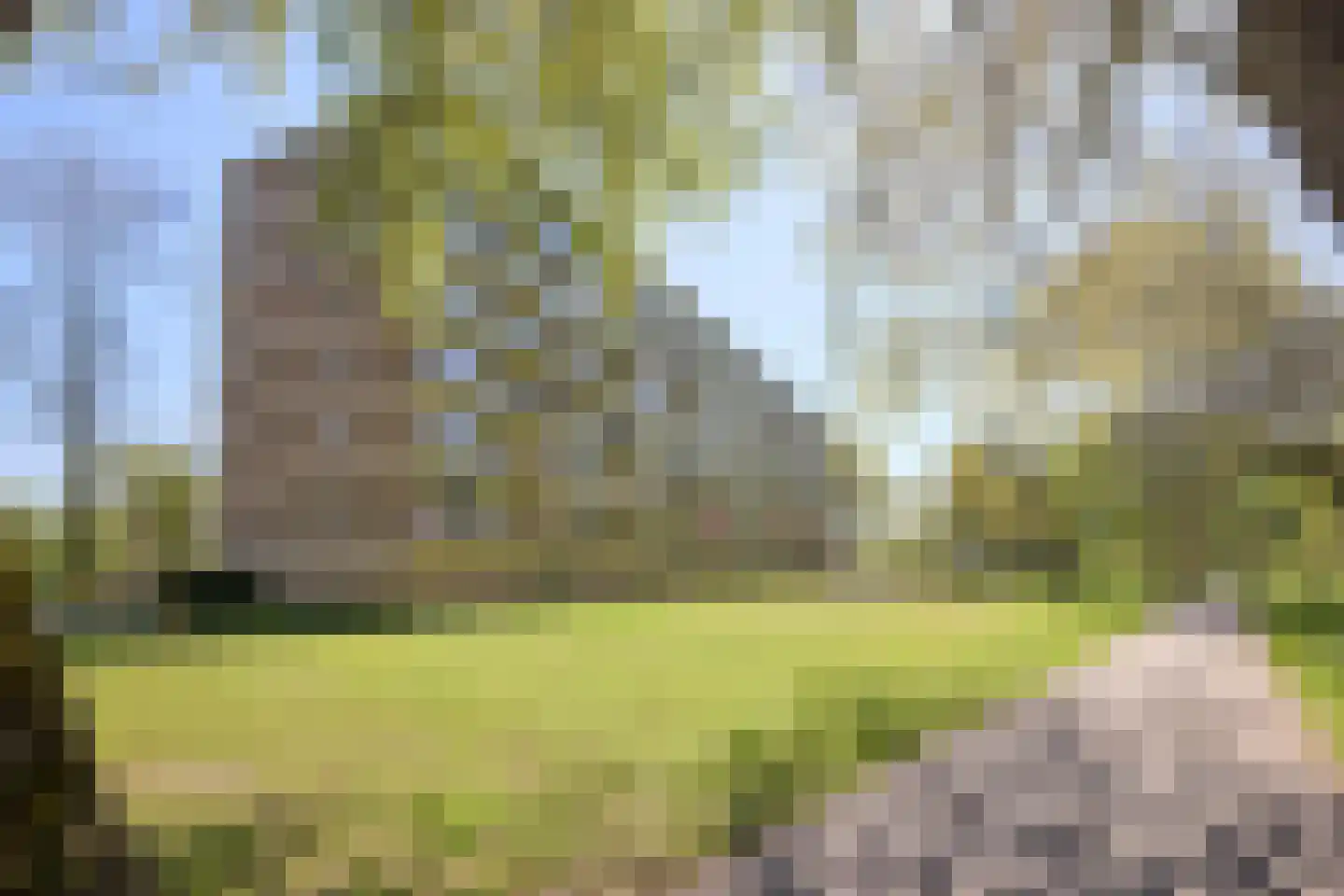 Frans Halslaan 177 Oegstgeest thumbnail 6