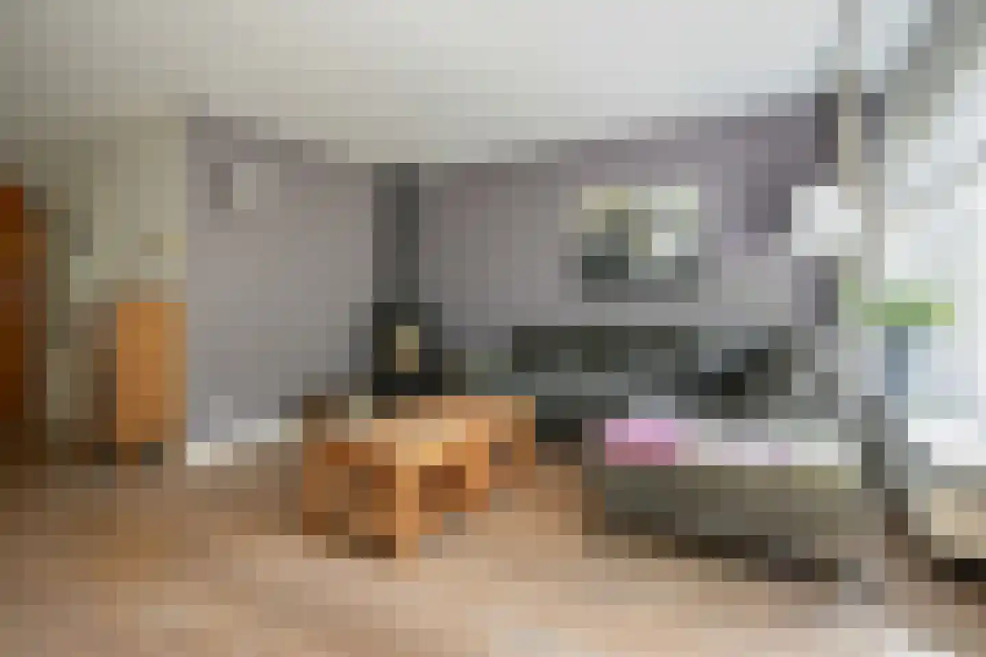 Frans Halslaan 18 Bergschenhoek thumbnail 17