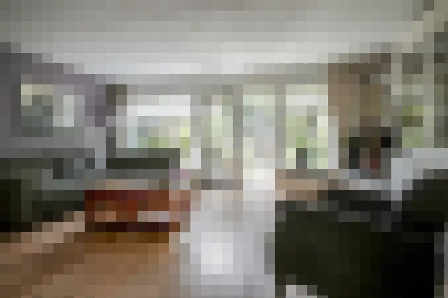 Frans Halslaan 18 Bergschenhoek thumbnail 19