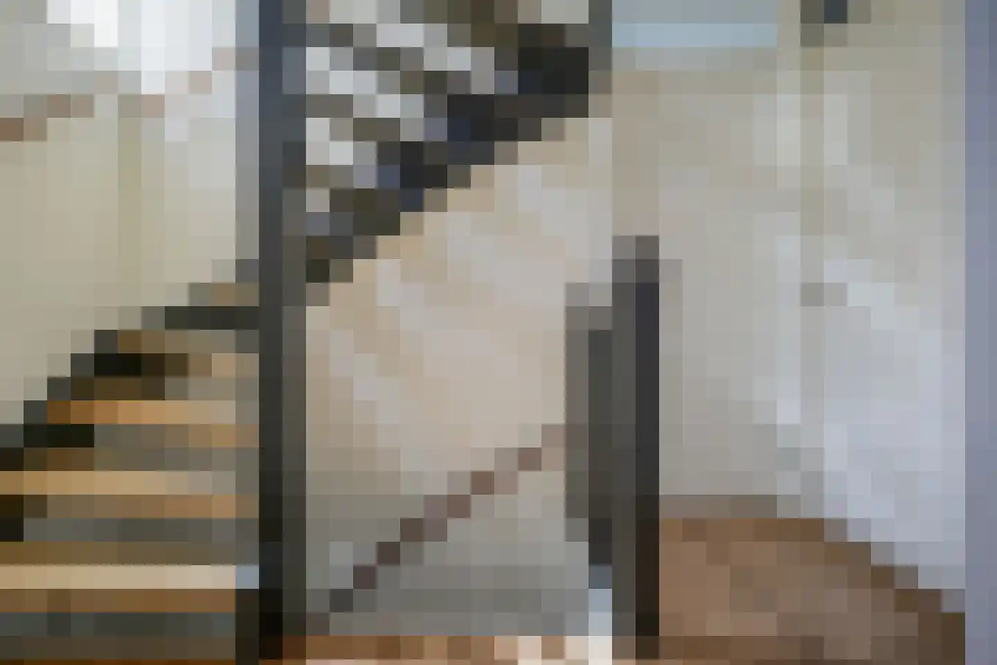 Frans Halslaan 18 Bergschenhoek thumbnail 21