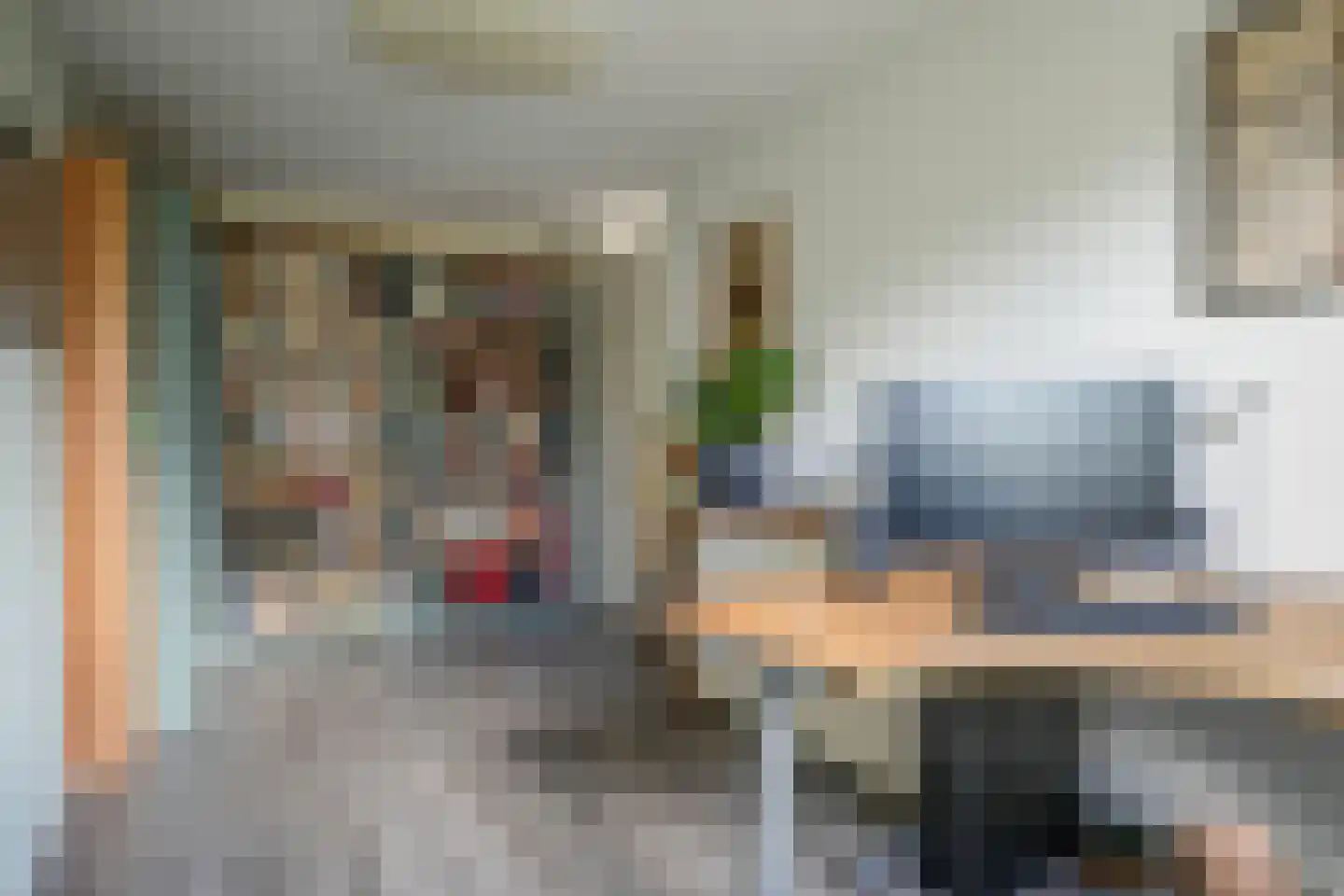 Frans Halslaan 18 Bergschenhoek thumbnail 26