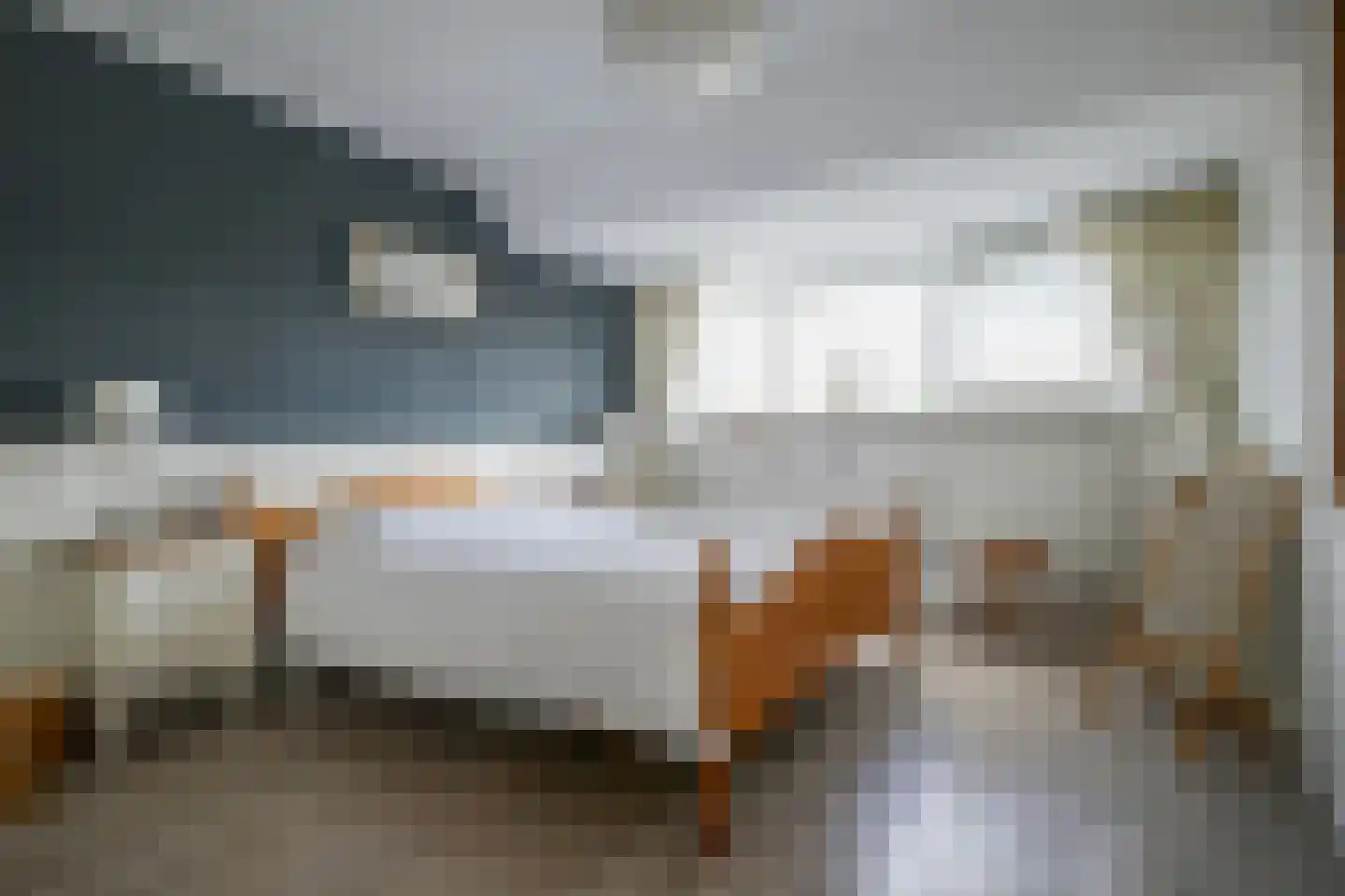 Frans Halslaan 18 Bergschenhoek thumbnail 28
