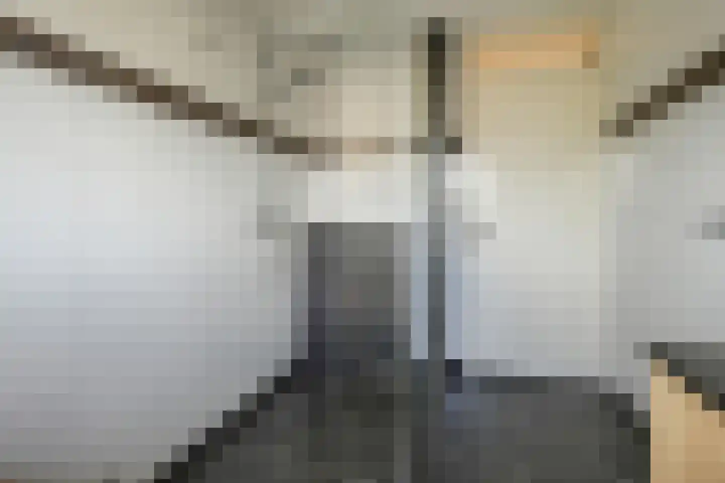 Frans Halslaan 18 Bergschenhoek thumbnail 31