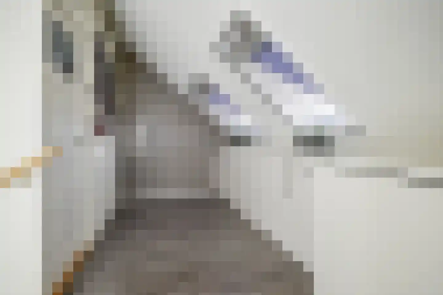 Frans Halslaan 18 Bergschenhoek thumbnail 36
