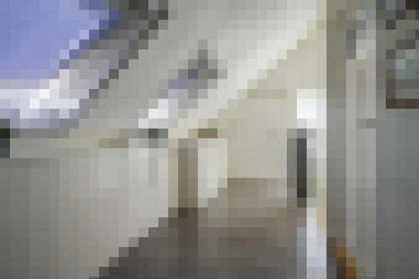 Frans Halslaan 18 Bergschenhoek thumbnail 37