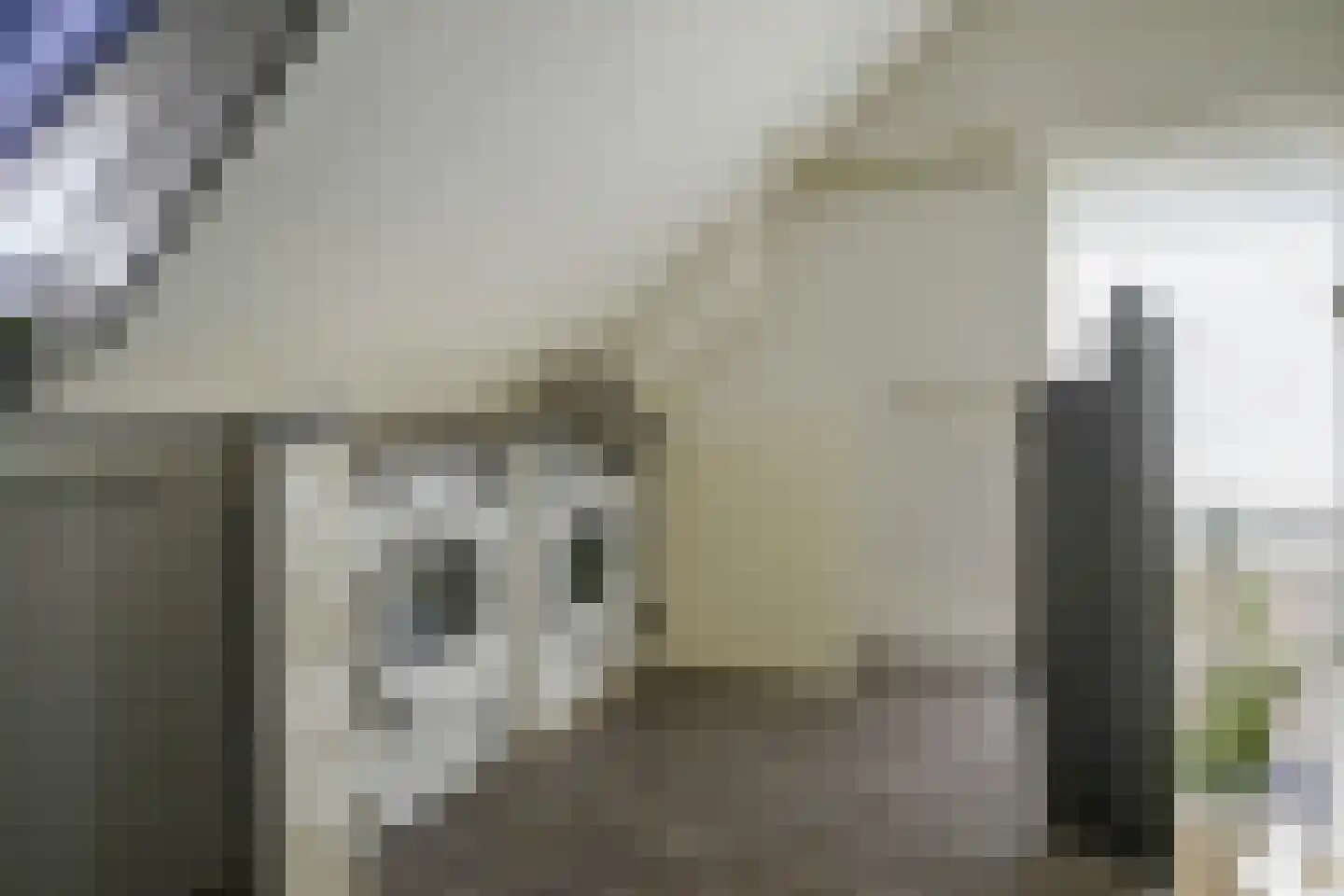 Frans Halslaan 18 Bergschenhoek thumbnail 39