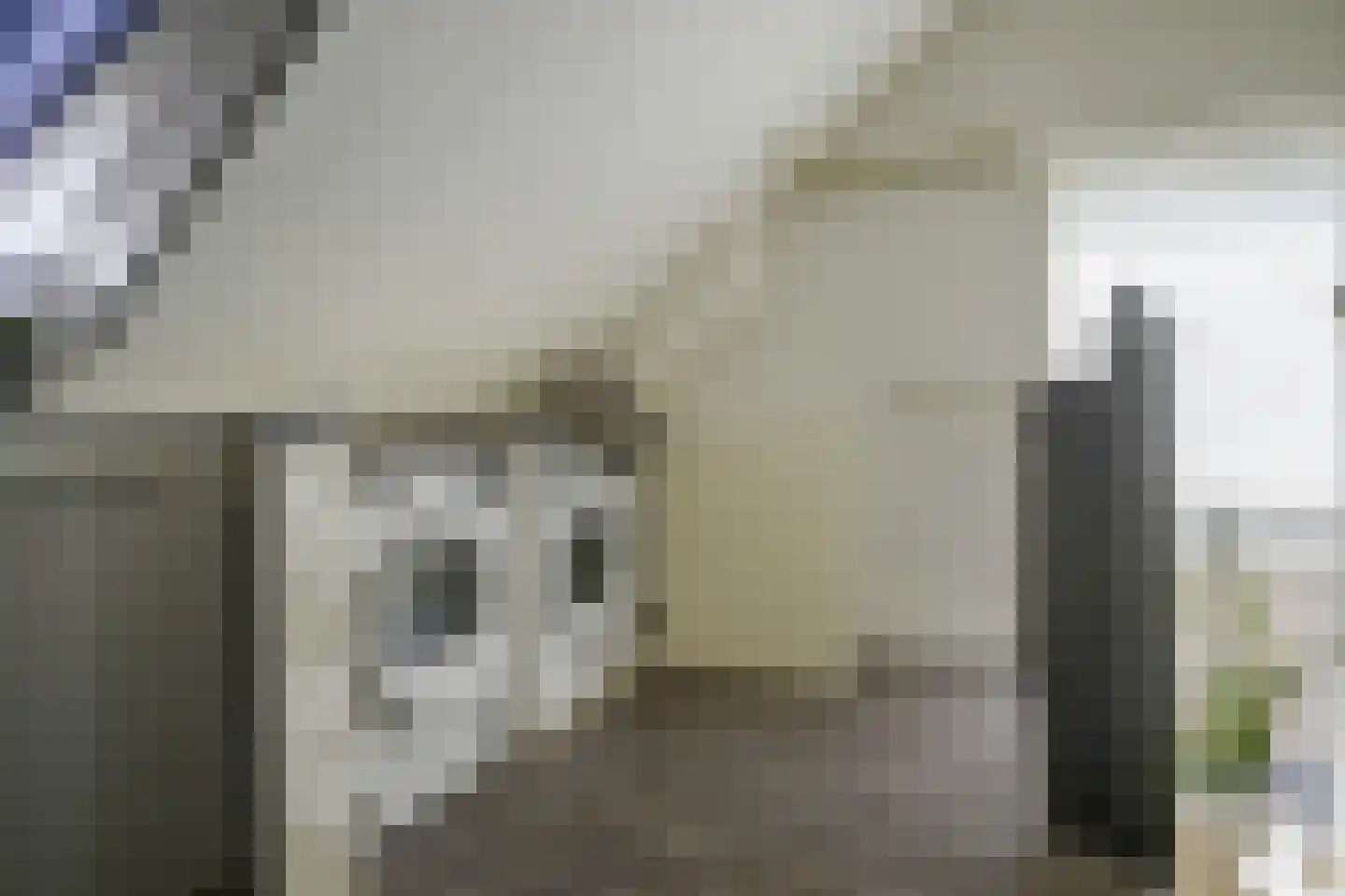 Frans Halslaan 18 Bergschenhoek thumbnail 40