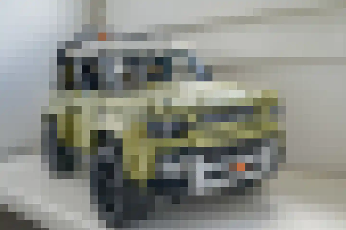 Frans Halslaan 18 Bergschenhoek thumbnail 43