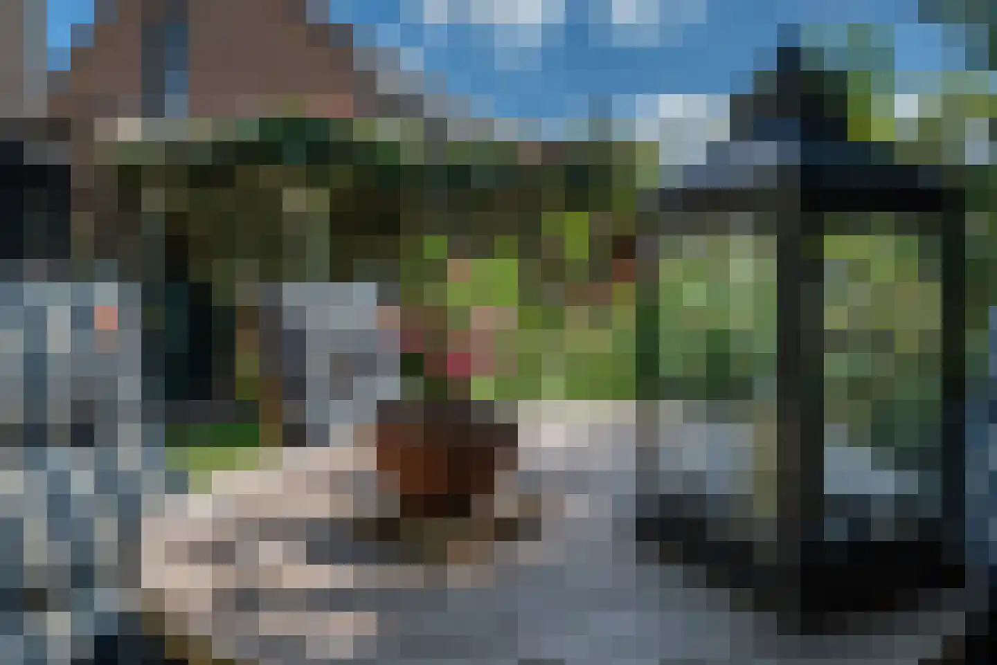 Frans Halslaan 18 Bergschenhoek thumbnail 49