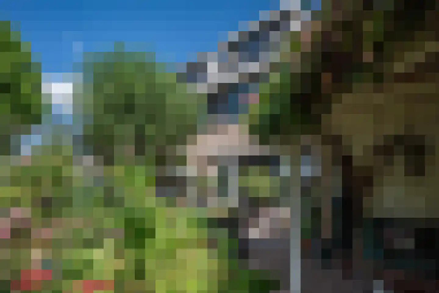 Frans Halslaan 18 Bergschenhoek thumbnail 50