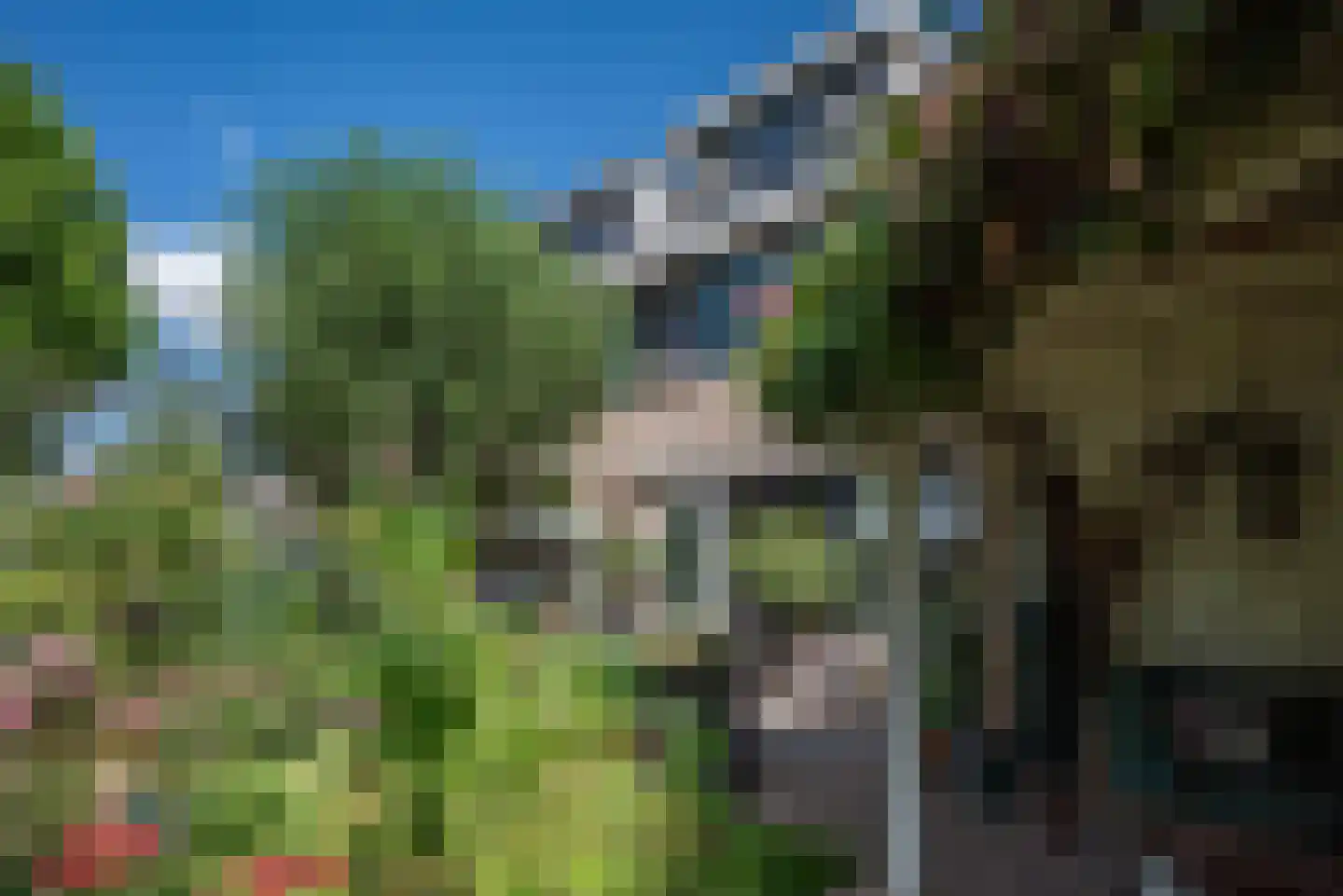 Frans Halslaan 18 Bergschenhoek thumbnail 50