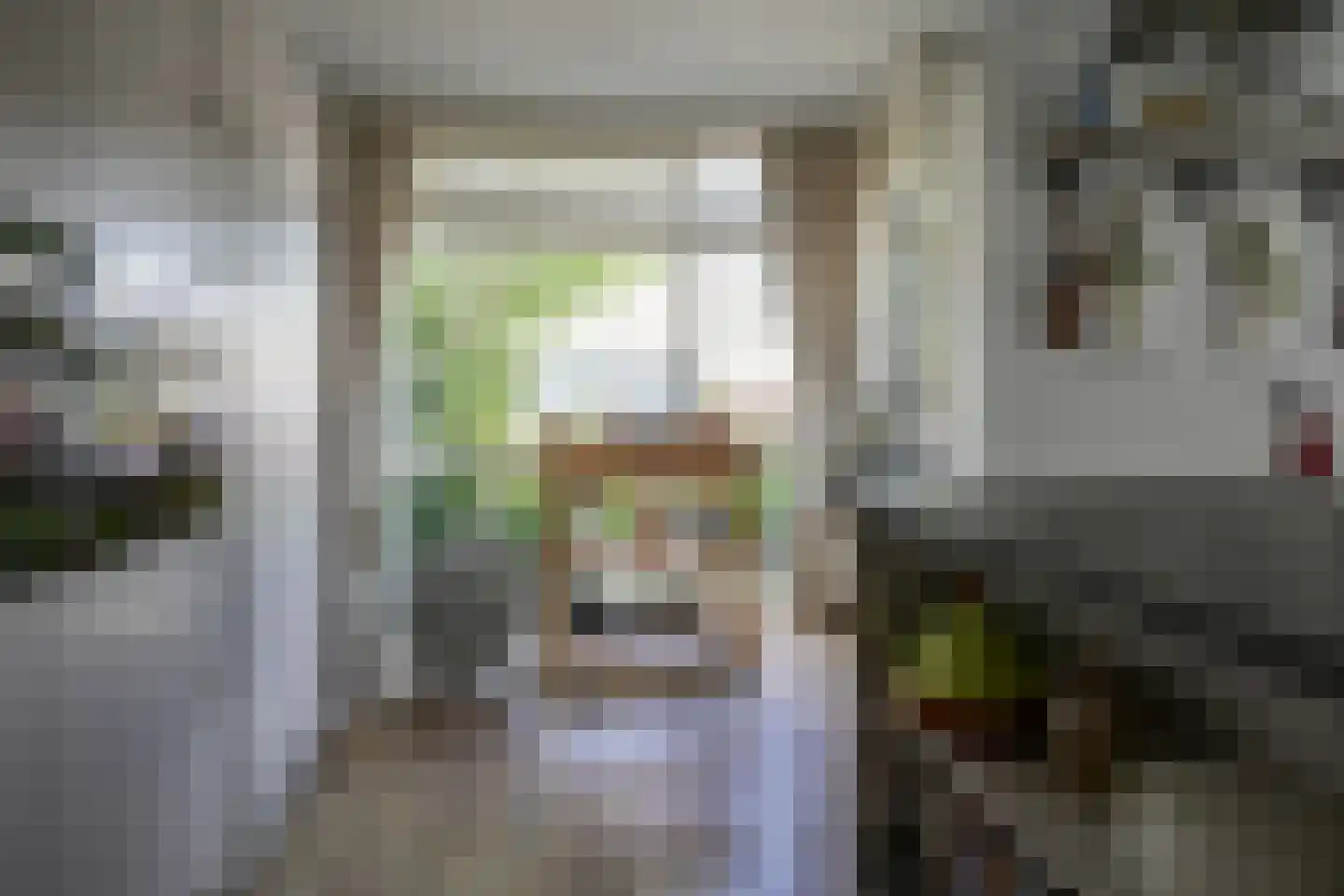Frans Halslaan 18 Bergschenhoek thumbnail 7