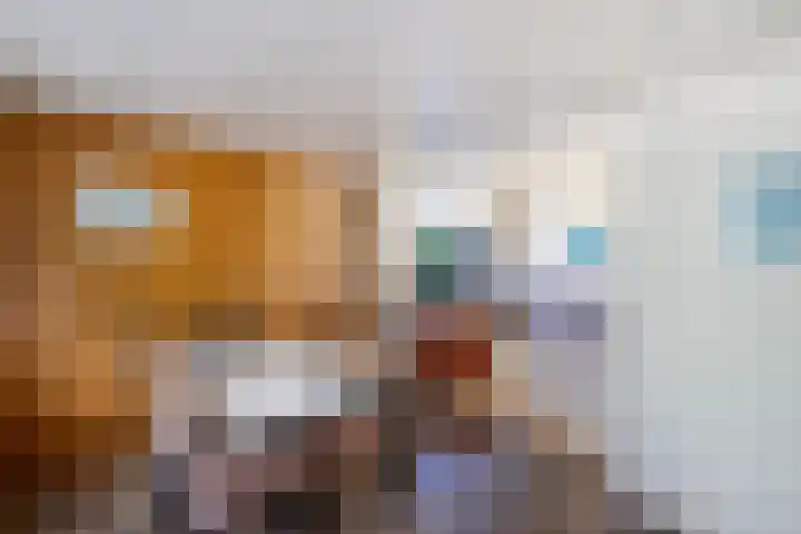 Frans Halslaan 18 Huizen thumbnail 10