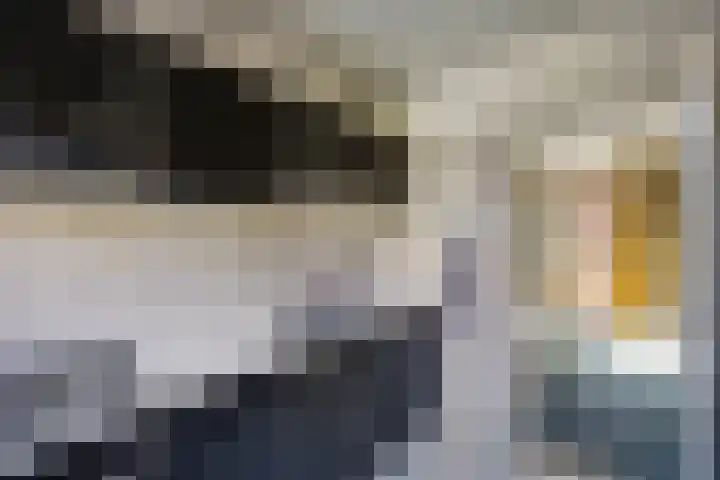 Frans Halslaan 18 Huizen thumbnail 12