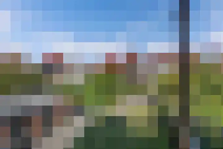 Frans Halslaan 18 Huizen thumbnail 17
