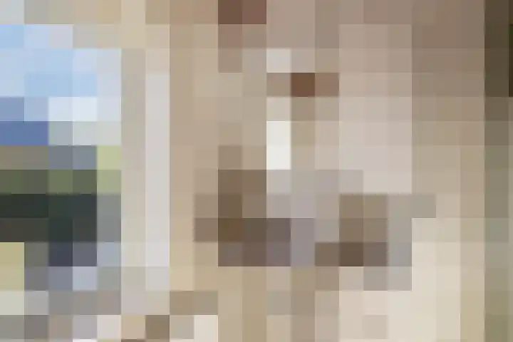 Frans Halslaan 18 Huizen thumbnail 20