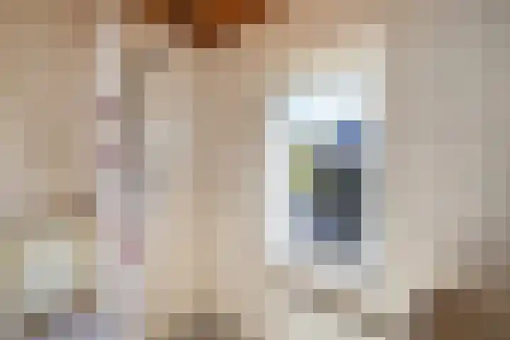 Frans Halslaan 18 Huizen thumbnail 21