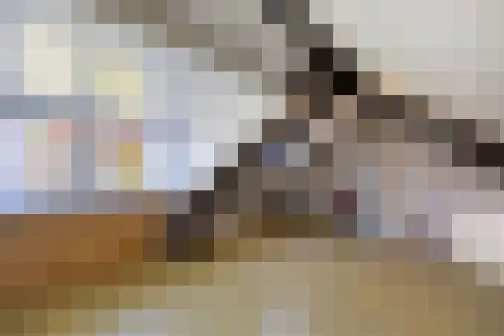 Frans Halslaan 18 Huizen thumbnail 23