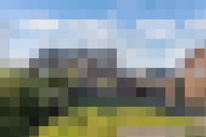 Frans Halslaan 18 Huizen thumbnail 30