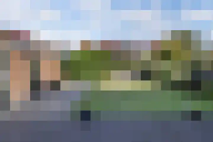 Frans Halslaan 18 Huizen thumbnail 31