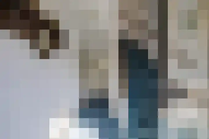 Frans Halslaan 18 Huizen thumbnail 4