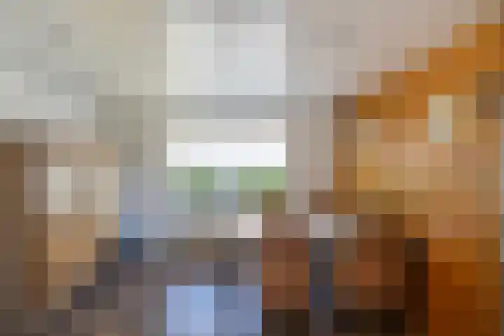 Frans Halslaan 18 Huizen thumbnail 7