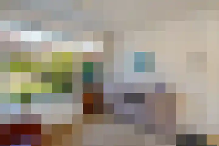 Frans Halslaan 18 Huizen thumbnail 9