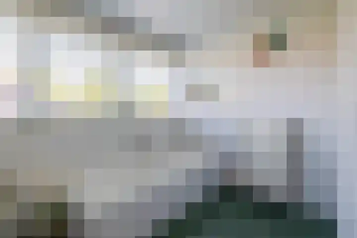 Frans Halslaan 18 Musselkanaal thumbnail 32