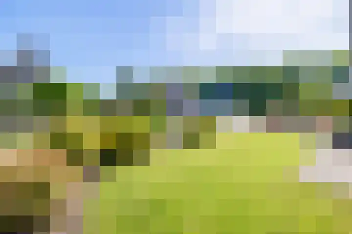 Frans Halslaan 18 Musselkanaal thumbnail 37