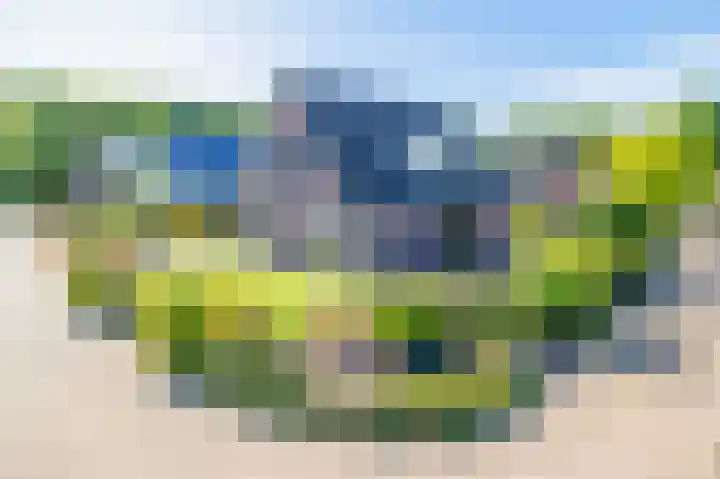Frans Halslaan 18 Musselkanaal thumbnail 4