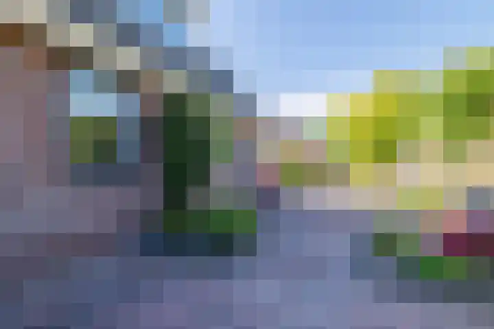 Frans Halslaan 18 Musselkanaal thumbnail 41