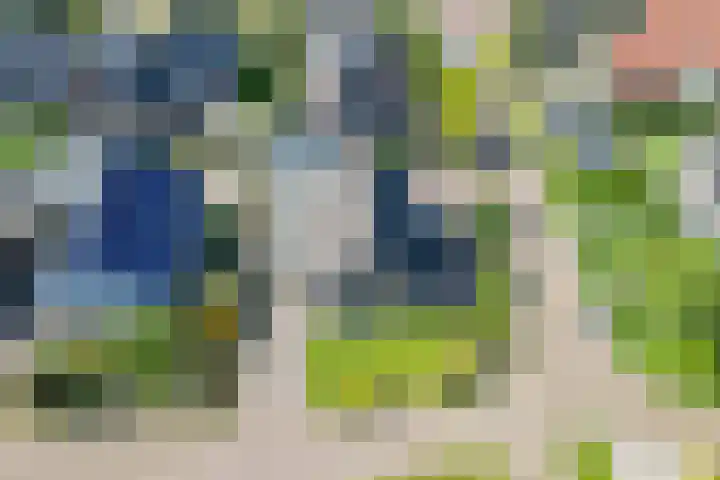 Frans Halslaan 18 Musselkanaal thumbnail 42