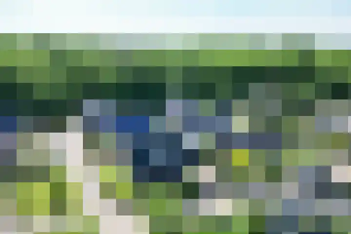 Frans Halslaan 18 Musselkanaal thumbnail 43