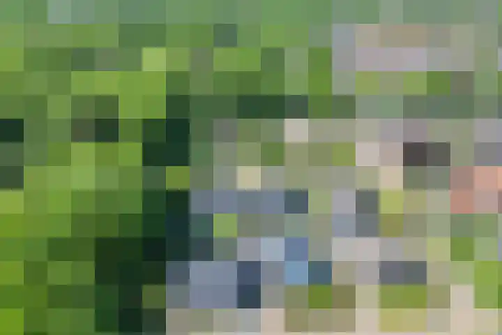 Frans Halslaan 18 Musselkanaal thumbnail 48