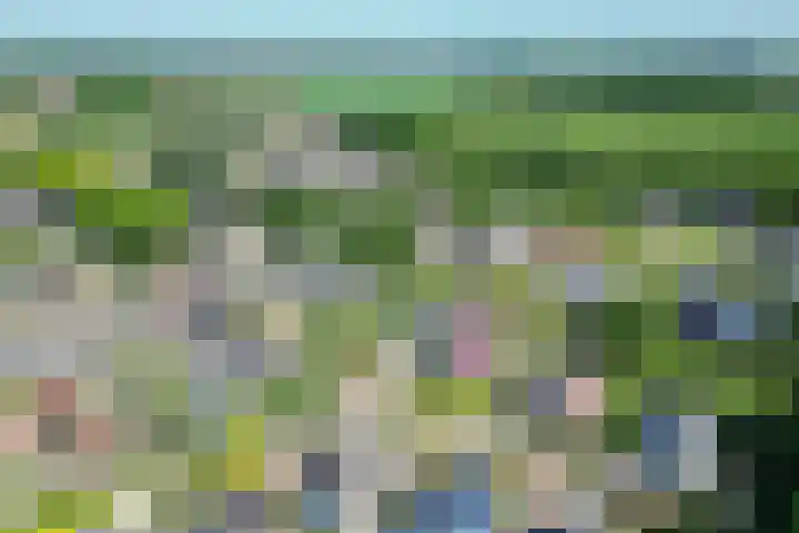 Frans Halslaan 18 Musselkanaal thumbnail 50
