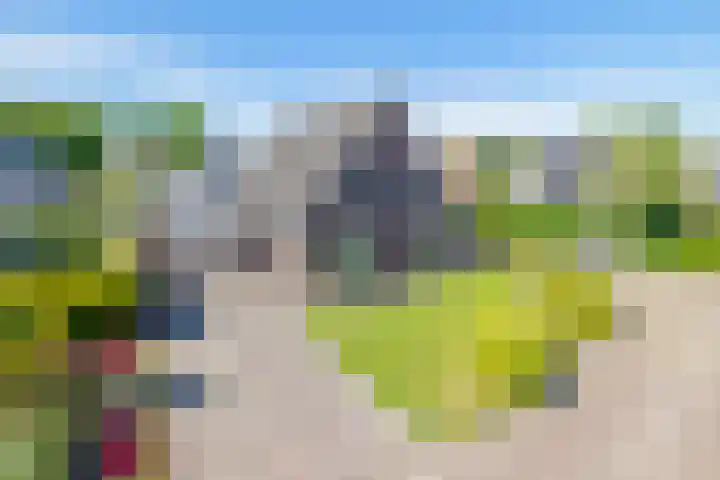Frans Halslaan 18 Musselkanaal thumbnail 6