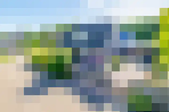 Frans Halslaan 18 Musselkanaal thumbnail 8