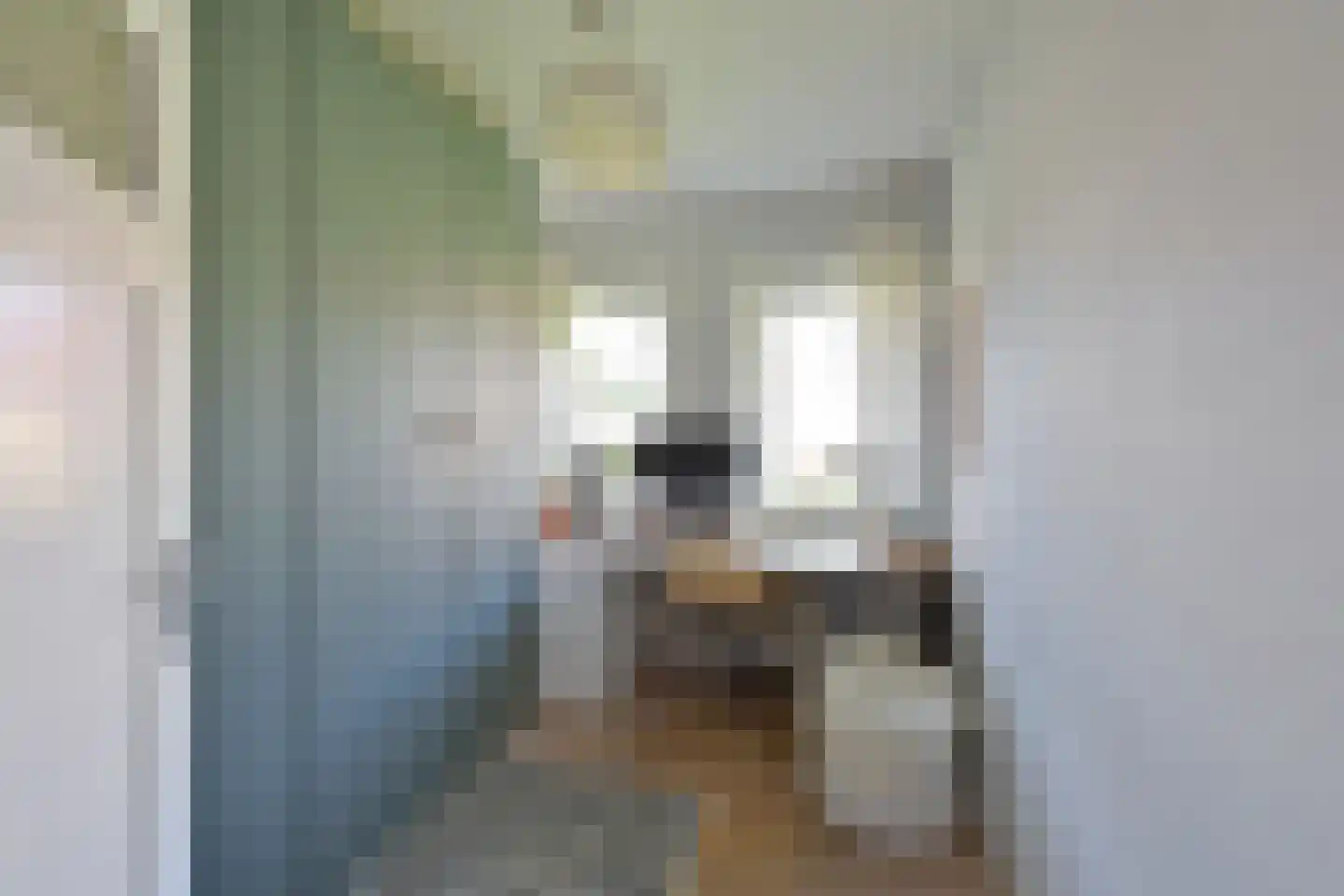 Frans Halslaan 18 Naarden thumbnail 18